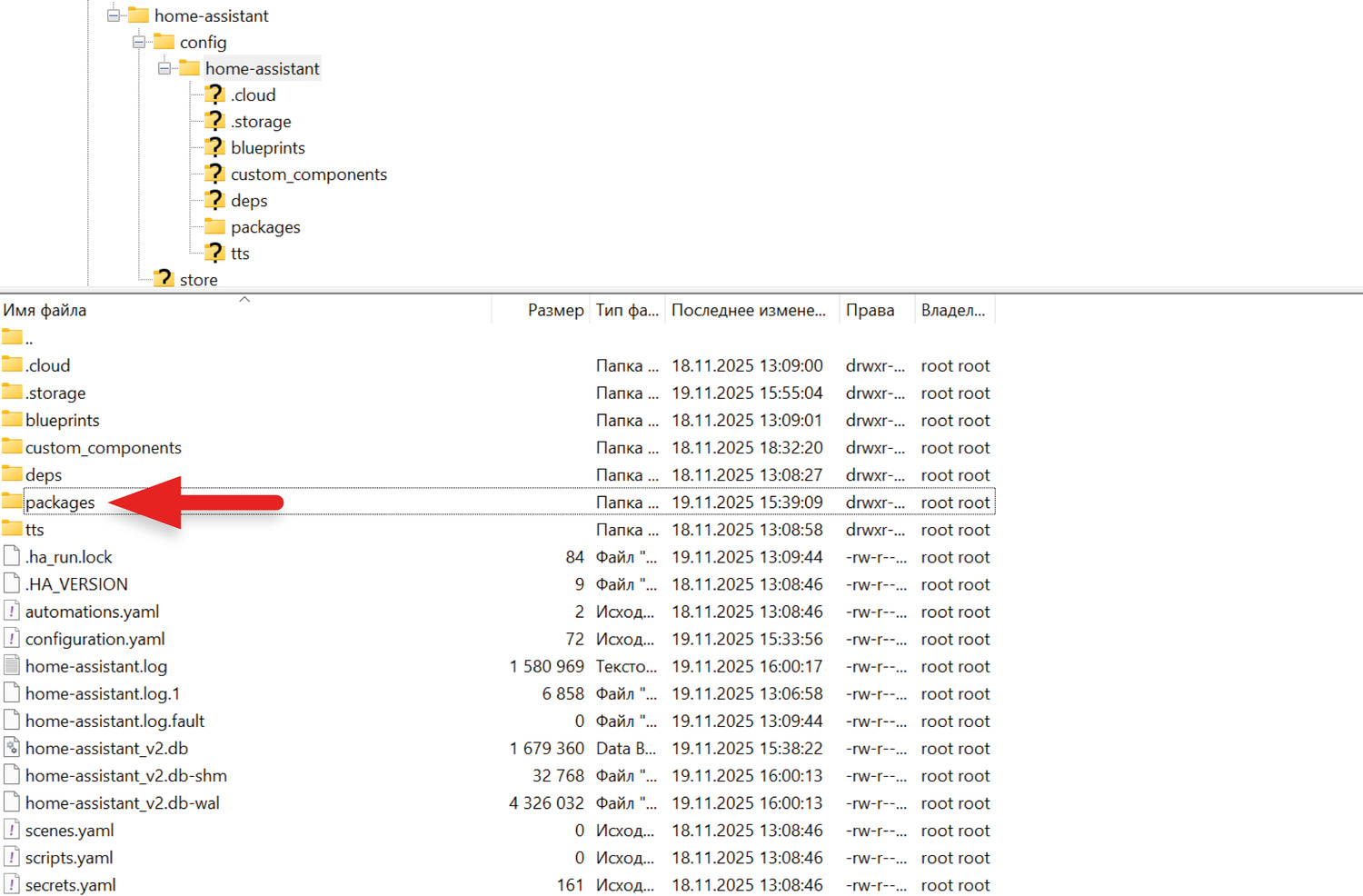Также следует создать директорию packages.